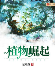 fb体育:产品2